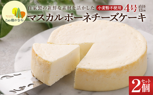 [選べる組合せ]蔵王のチーズケーキ専門店 選べるチーズケーキ[マスカルポーネ2個] [04301-1035]