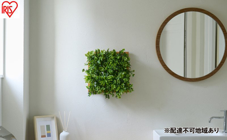 DECO GREEN ウォールパネル WG-50M ナチュラルミックス 3個セット フェイクグリーン 壁掛け アイリスオーヤマ ウォールグリーン 25×25cm 正方形 インテリア おしゃれ 壁面緑化パネル 人工観葉植物