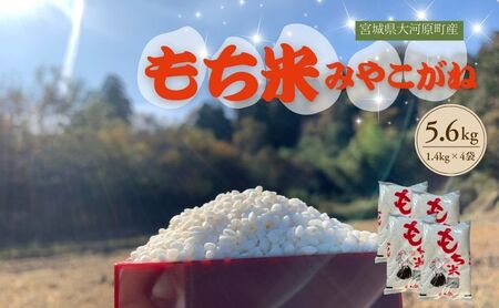 ߘa7NxY {錧͌Y ݂₱ 5.6kg(1.4kg×4)  ݕ   R `    