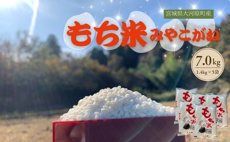 ߘa7NxY {錧͌Y ݂₱ 7.0kg(1.4kg×5)  ݕ   R `    