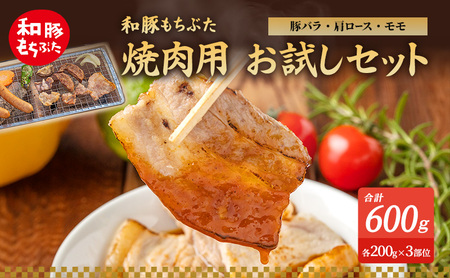 和豚もちぶた お試しセット 焼肉用 600g 200g×3部位 1〜2人世帯向け 豚バラ 肩ロース モモ