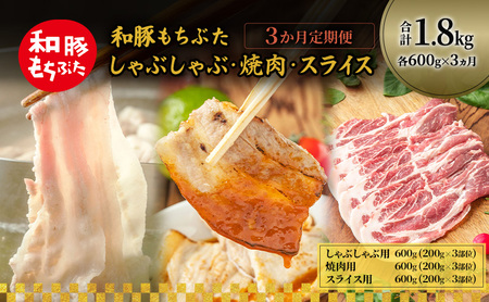 和豚もちぶた 3ヵ月定期便 計1.8kg しゃぶしゃぶ 焼肉 スライス 豚バラ 肩ロース モモ