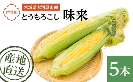 �Ƃ����낱�� ���� �����p 5�{ �g�E�����R�V �{�錧�Y �Â� �� ���̂� �Y�n���� �{�錧 ��͌���