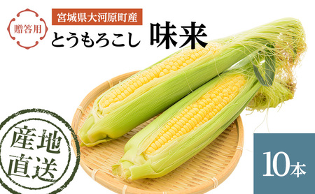 �Ƃ����낱�� ���� �����p 10�{ �g�E�����R�V �{�錧�Y �Â� �� ���̂� �Y�n���� �{�錧 ��͌���