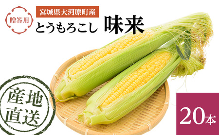 �Ƃ����낱�� ���� �����p 20�{ �g�E�����R�V �{�錧�Y �Â� �� ���̂� �Y�n���� �{�錧 ��͌���