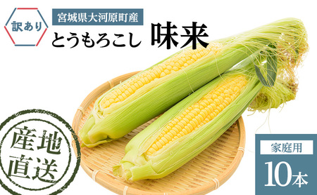 �Ƃ����낱�� ���� �ƒ�p 10�{ ��A�� �g�E�����R�V �{�錧�Y �Â� �� ���̂� �󂠂� �Y�n���� �{�錧 ��͌���