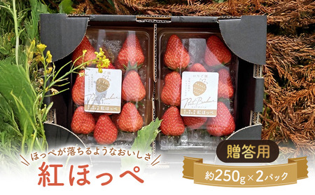 ��͌����̂����� ���n������ 2�p�b�N �ʕ� �t���[�c � �g�ق��� ������ �݂��݂����� �W���[�V�[ ���Ԍ��� �G�ߌ��� ������ ������