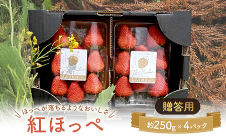 ��͌����̂����� ���n������ 4�p�b�N �ʕ� �t���[�c � �g�ق��� ������ �݂��݂����� �W���[�V�[ ���Ԍ��� �G�ߌ��� ������ ������