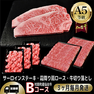 yցzA5䋍yōјaBR[XzXe[LEĂE؂藎Ƃ S3yzsnFzy4002746z