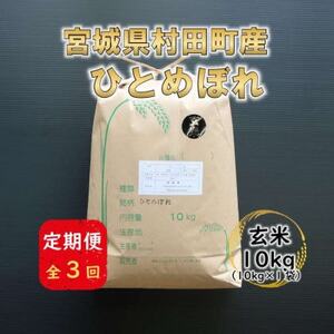 yցz{錧cYЂƂ߂ڂ@10kg(10kg×1)S3y4074967z