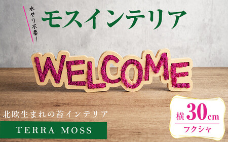 モスインテリア「WELCOME」(フクシャ) [横300mm・高さ80mm・幅15mm] 観葉植物 苔 コケ テラモス インテリア 植物 [結び] sh027-A