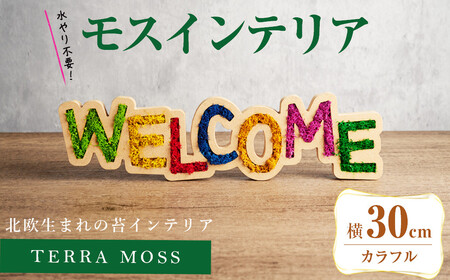 モスインテリア「WELCOME」(カラフル) [横300mm・高さ80mm・幅15m] 観葉植物 苔 コケ テラモス インテリア 植物 [結び] sh027-B