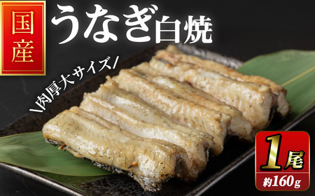 職人手焼き 国産うなぎ白焼 約160g 肉厚 大サイズ 特大 鰻 ウナギ 白焼 [逢隈亭]sh100