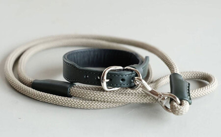 牛革で作った小型犬用の首輪とリードのセット [21.5cm〜27.5cm] グリーン 首輪 リード 牛革 本革 ペット用品 ペットグッズ 犬用品 お散歩グッズ 小型犬[トリノネストア]sh103-C