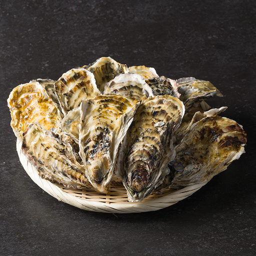 松島牡蠣屋 冷凍牡蠣(生食用)1kg 宮城県産 牡蛎 牡蠣 カキ オイスター カキフライ 牡蠣鍋 海鮮 国産 魚貝類 急速冷凍 [菊地水産合同会社]sh156