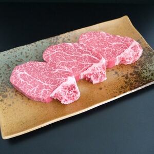 蔵王和牛ヒレステーキ 480g(4枚入) 宮城県産 黒毛和牛[配送不可地域:離島]