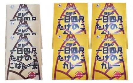 【丸森町特産】 たけのこカレー4個とたけのこご飯のもと 3個【08108】