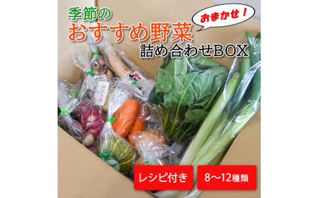季節のおすすめ野菜おまかせ詰め合わせBOX 8種〜12種類 通常サイズ[16101]
