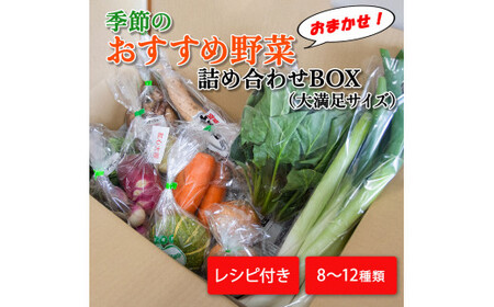 季節のおすすめ野菜おまかせ詰め合わせBOX 8種〜12種類 大容量サイズ[16102]