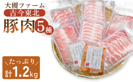 [古今東北] 丸森町大槻ファーム 豚肉5種類セット(計1.2kg)[30101]