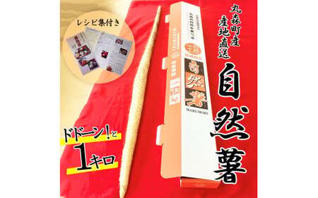 丸森町産 自然薯1kg 専用化粧箱入り レシピ集付き[12103]