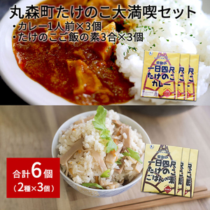 たけのこカレー1人前×3個 たけのこごはんの素3合×3個 合計6個セット【08104】