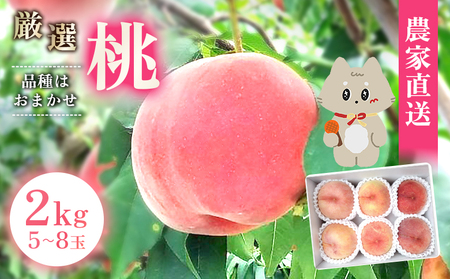 �y��s�\��z�s7�����{�`9�����{�o�ׁt �{�錧�ېX���Y �� 5�`8�ʁi��2kg�j�y4800401�z