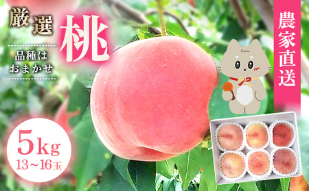 [先行予約][7月中旬〜9月中旬出荷]桃13玉〜16玉(約5kg) もも品種おまかせ あかつき 白桃 黄金桃 黄貴妃 きららのきわみ[48005]