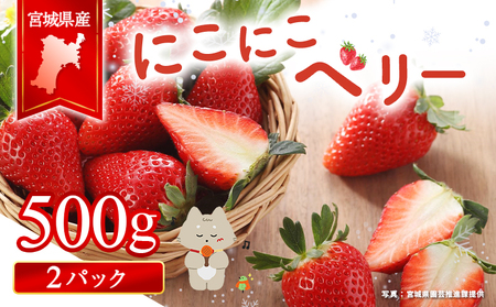 宮城県産いちご「にこにこベリー」約500ｇ（250ｇ×2）【58001】