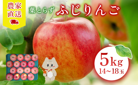 [先行予約][2026年12月上旬〜12月下旬出荷]宮城県丸森町産 葉とらずふじりんご 14〜18個入り(約5kg) 1箱[48001]