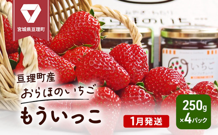 [1月発送]糖度の中に程よい酸味 亘理産おらほのいちご「もういっこ」