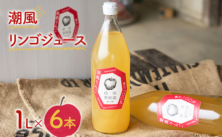 潮風リンゴジュース 1L×6本 [結城果樹園]
