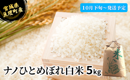 ナノひとめぼれ 白米 5kg