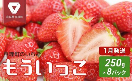 �y1���z���z������ �j�����̂����� ���������� 250g × 8�p�b�N �I�����C�����ό��� ��s��t���I�I � �ʕ� �t���[�c �C�`�S �Z�b�g