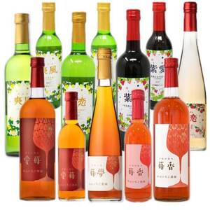 [山元いちご農園] ワイン詰め合わせセット[配送不可地域:離島]