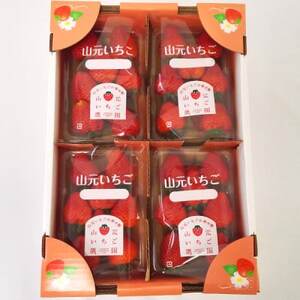 山元いちご農園 4品種食べ比べセット 4パック[配送不可地域:離島・北海道・沖縄県・信越、北陸・近畿・中国・四国・九州]