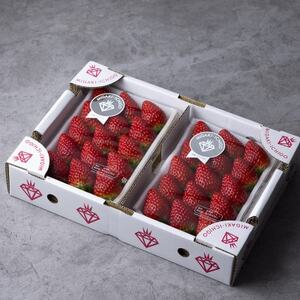 (農場直送)ミガキイチゴ・シルバー(320g×2パック)[配送不可地域:離島]