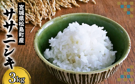 宮城県松島町産ササニシキ 3kg / ササニシキ 米 白米 3kg 特別栽培米 減農薬 あっさり 食感 さっぱり 粘り控えめ 粒立ち 和食 お弁当 宮城県 No.123