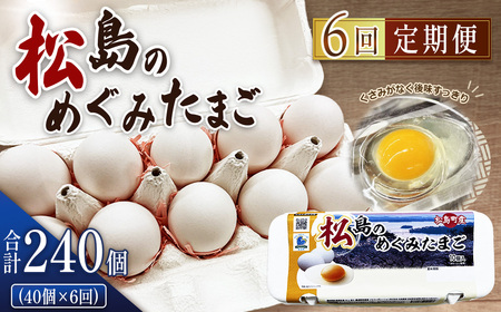 松島のめぐみたまご 40個入り 6ヵ月定期便 No.165