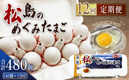 松島のめぐみたまご　40個入り　12ヵ月定期便 No.167
