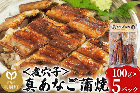 ^Ȃāόq 100g×5P