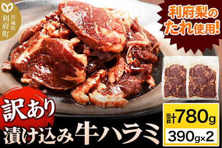 y󂠂×25ZbgzЂ݋n~i{̂gpjv780g 390g ×2pbN