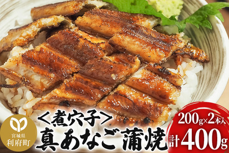 真あなご蒲焼[煮穴子] 400g 韓国産 宮城県 利府町