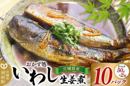 宮城県産 いわし生姜煮 (2尾50g×10パック) 冷凍 惣菜 おかず つまみ レンチン 湯煎 簡単 お取り寄せ しょうが ショウガ