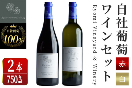 自社葡萄を使用したワインセット 750ml×2本 ピノノワール ソーヴィニヨンブラン 赤ワイン 白ワイン ミディアムボディ 辛口 ぶどう ブドウ アルコール ギフト 宮城県産 みらいファームやまと [了美ワイナリー]ta497