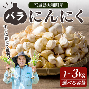 Ioɂɂ 3kg ɂɂ jjN K[bN ZЎ ΂ zCg ܂ N Hi  Yn {錧 a yЃt@[nzta501