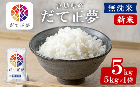 [先行予約!2025年11月から順次発送予定][令和7年産 新米]宮城県産 だて正夢 無洗米 5kg お米 おこめ 米 コメ 白米 ご飯 ごはん 伊達 だてまさゆめ おにぎり ブランド米 5kg[株式会社パールライス宮城]ta356