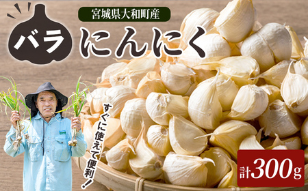 Ioɂɂ 300g ɂɂ jjN K[bN ZЎ ΂ zCg ܂ N Hi  Yn {錧 a yЃt@[nzta593