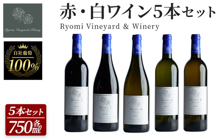 自社葡萄を使用したワインセット 750ml×5本 赤ワイン 白ワイン メルロー ピノノワール シャルドネ ソーヴィニヨンブラン モンドブリエ ミディアムボディ 辛口 ぶどう ブドウ アルコール みらいファームやまと [了美ワイナリー]ta594