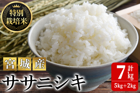 ＜令和5年産＞特別栽培米 ササニシキ 7kg ささにしき お米 おこめ 米 コメ 白米 ご飯 ごはん おにぎり お弁当 有機質肥料【JA新みやぎ】ta218